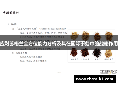 应对苏格兰全方位能力分析及其在国际事务中的战略作用