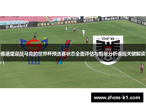 佩德里迎战马竞的世界杯预选赛状态全面评估与前景分析表现关键解读
